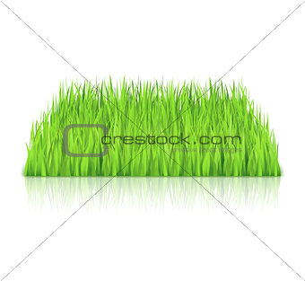 Green Grass
