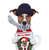 christmas dog with cup