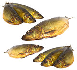 Set fresh sea fishes lie nearby on a white background