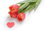 three tulips with paper heart