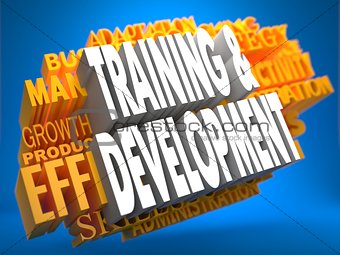 Training and Development. Wordcloud Concept.