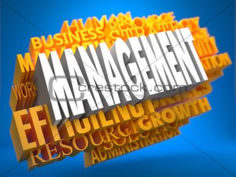 Management. Wordcloud Concept.