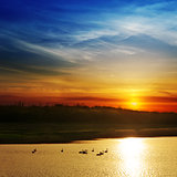 dramatic sunset over river with swans