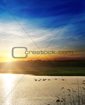 dramatic sunset over river with swans