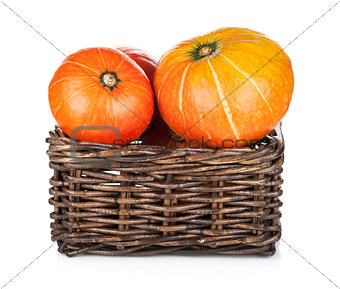 Ripe small pumpkins
