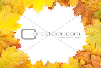 Colorful autumn maple leaves frame