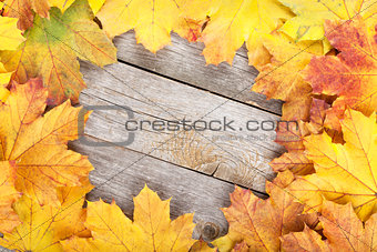 Colorful autumn maple leaves frame
