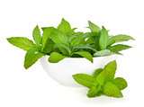 Bowl with fresh mint