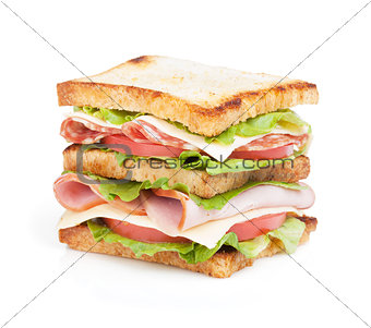 Toast sandwich with meat and vegetables
