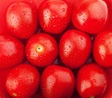 Fresh ripe cherry tomatoes