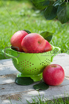Fresh ripe red apples