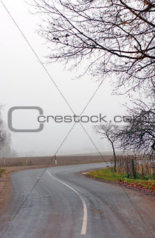 Trees and road in fog in Autumn