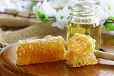 natural organic honey in the comb