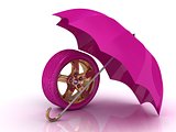 Beautiful pink wheel with a gold disc