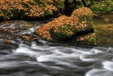 Autumn river with stones