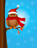 Great Horned Owl with Santa Hat on Tree