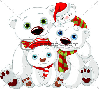 Big Polar bear family at Christmas