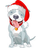 Christmas Pit Bull Dog