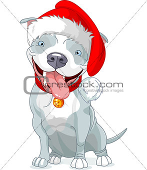 Christmas Pit Bull Dog