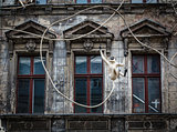 Old House Facade with Monkey Sculpture in Berlin, Germany