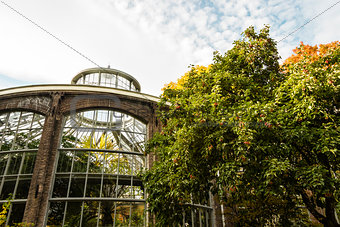 Plantage greenhouse in Amsterdam, autumn time