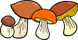 mushrooms food objects group