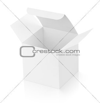Opened cardboard box on white