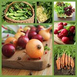 Collage with fresh natural vegetables
