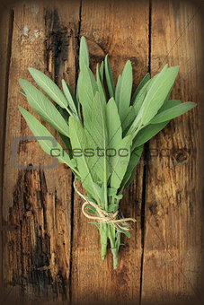fresh sage on wooden table