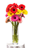 Gerbera flowers in vase isolated on white background