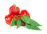 Red peppers and leaves