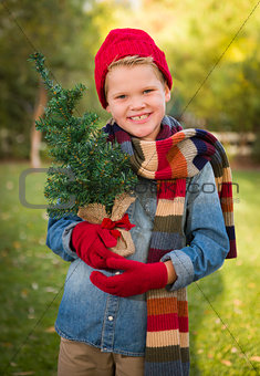Young Boy Wearing Holiday Clothing Holding Small Christmas Tree 
