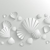 Abstract vector background with white seashells