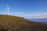 Lone wind turbine