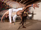 Expert Capoeira Performers