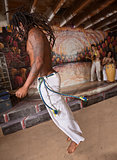 Capoeira Performers in Action