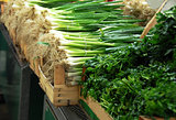 Green spring onion on market
