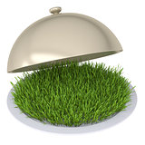 Green grass on a plate with a lid