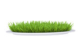 Green grass on a plate