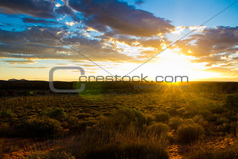Uluru Aussie Outback