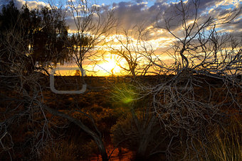 Uluru Aussie Outback