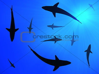 Sharks background