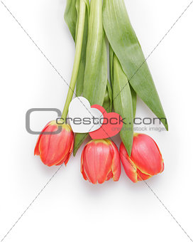 Three tulips with paper hearts