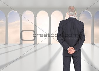 Rear view of serious mature businessman posing