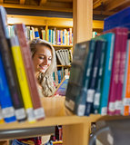 Student reading book amid bookshelves in the library