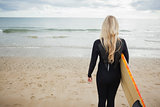 Rear view of woman in wet suit with surfboard at beach