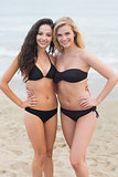 Smiling young bikini women at the beach