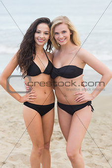 Smiling young bikini women at the beach