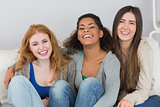 Portrait of cheerful female friends sitting at home