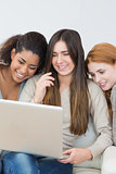 Cheerful female friends using laptop together on sofa